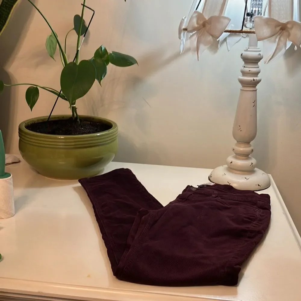 LAND’S END 30 Canvas Cords Pants Unisex Burgundy Plum Pin Straight Pants